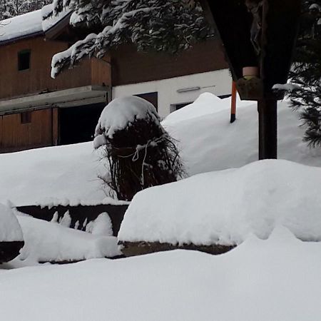 Appartement Wildkogelblick Neukirchen am Grossvenediger Luaran gambar